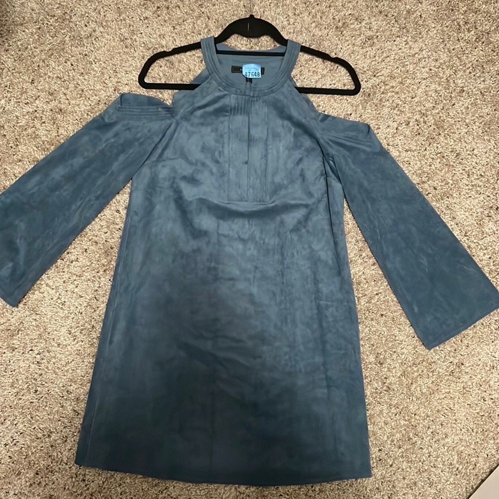 BCBG Suede Dress